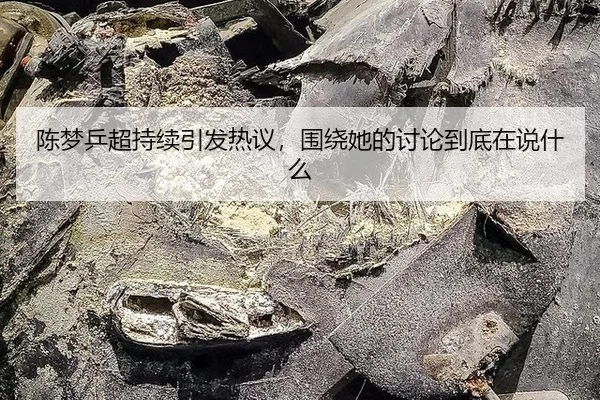 陈梦乒超持续引发热议，围绕她的讨论到底在说什么